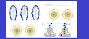 HUMAN ENERGY ANALYSIS . bio2